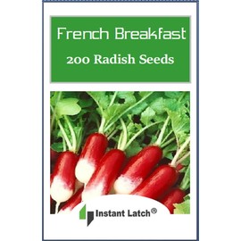 200 French Breakfast Radish Seeds Non GMO Radish Seed for Planting Heirloom Garden Seed Packet