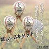 TJ's shop Baseball Stand, Ball Stand, Bat Stand, Commemorative Ball,