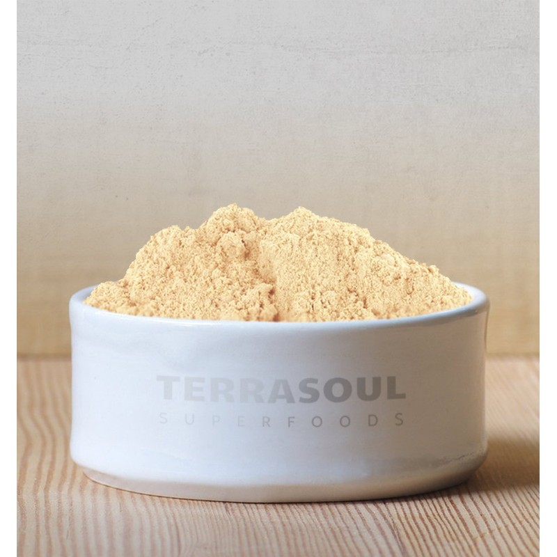 Terrasoul Superfoods Organic Ginger Powder, 2 Lbs (2 Pack) -