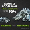 Furminator Short Hair deShedding Tool for Medium Dogs, Standard