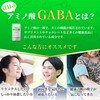 サプリクラフト GABA ギャバ サプリ 1カプセルにGABA500mg 100カプセル