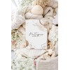 Joli Coon Maternity Log Cover German Maternity Log Cover Mamipass,