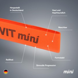FLEXVIT Mini Set of 10 Resistance Bands | Fitness Bands for Teams, Clubs, School & Athletic Training | 6 Resistance Levels | Skin-Friendly, Tear-Resistant & Washable | Made in Germany