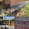 Wire mesh, rodent wire mesh, 10 cm x 6 m,