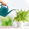 Fasmov Plastic Watering Can, 1-Gallon, Green