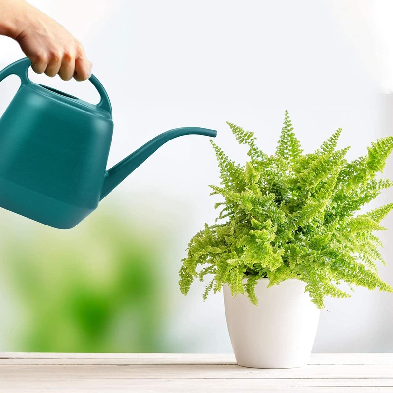 Fasmov Plastic Watering Can, 1-Gallon, Green