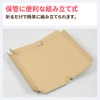 Earth Cardboard ID0432 Nekoposu Smallest Size, Non-Shaped Mail, Set of
