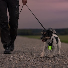 12 Pieces Reflective Zipper Pulls Nylon Keychain Tags, Bright Tags for First Aid Bag Backpack Pendant for Kids Adults Dog Collar Zippers Decorations