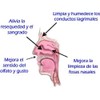 Limpiador Nasal Neti Pot Respira Bien Jala Neti
