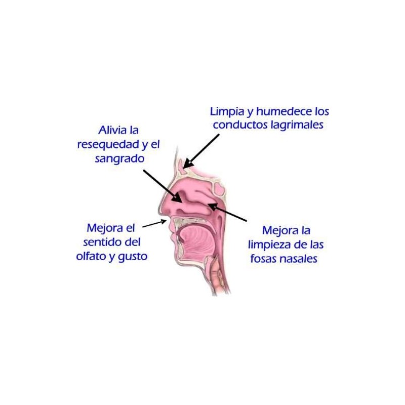 Limpiador Nasal Neti Pot Respira Bien Jala Neti