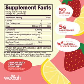 Wellah L-Glutamine Strawberry Lemonade Flavored (50 Servings) - 5g L-Glutamine Per Serving, Sweetened with Stevia