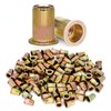 Trivd Frol 400Pcs 1/4"-20 UNC Rivet Nuts, Zinc Plated Carbon
