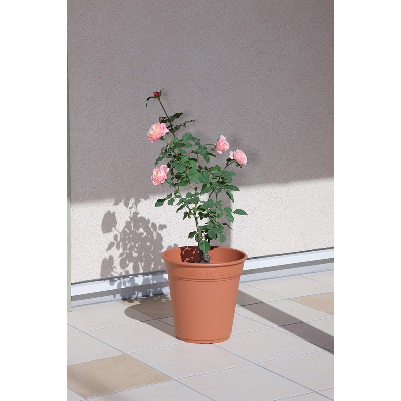 Appleware Pot, Planter, Plastic Pot, Rosé Pot, Type 300, Brown,