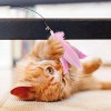 Unbranded 3pcs Cat Teaser Toy Set Suction Cup Feather Teaser