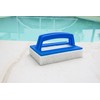Steinbach removing leaves from swimming pools Scrubbing Brush with Handle