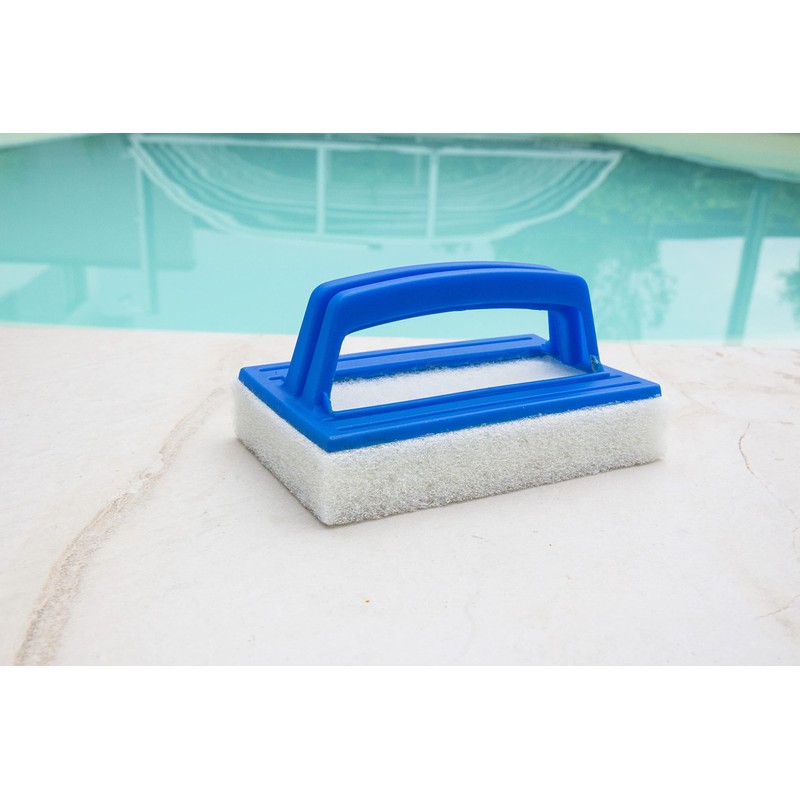 Steinbach removing leaves from swimming pools Scrubbing Brush with Handle