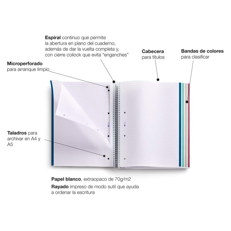 Miquelrius A4 Notebook Extra Strong Cover 4 Coloured Strips 120