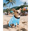 PET SHOW 4 Pack Small Dog Pajamas Summer Clothes for