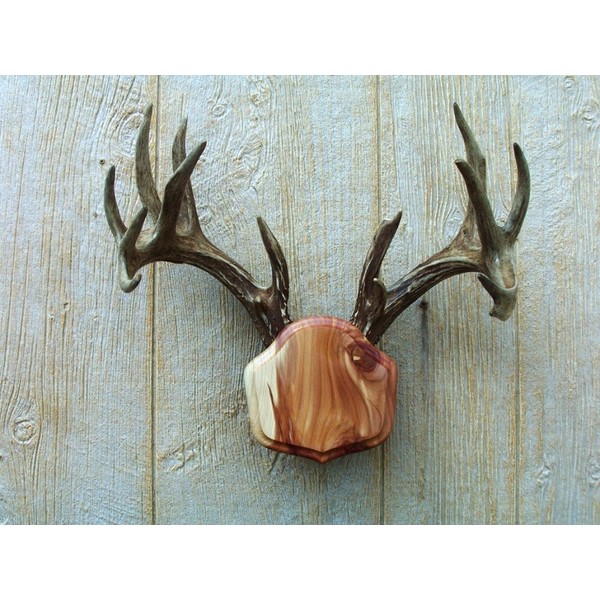Taxidermists Woodshop The Cedar The Deer Stand Antler Mounting Kit