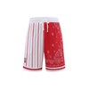DIOTSR Mens Basketball Shorts Paisley Graphic Shorts Bandana Athletic Running