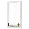Sintosin Farmhouse Full Length Mirror 40 X 23 Inch, Wall