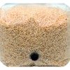 Premium Brown Rice Mushroom Spawn Bag | Sterilized Grain Spawn