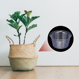 TIXIPEM 6IN Plant Pot Saucer [10PCS] - Round Deepened Flower Drip Tray Use for Indoor Outdoor Garden Potted Plants - [Clear] Plastic Plant Saucer