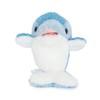 Aqua Plush Chart * Falls Dolphin 00120249 