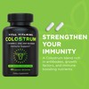 Vital Vitamins Colostrum Supplement - Vitamin C, Zinc, & Selenium