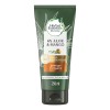 Acondicionador Herbal Essences Bio Renew Protege Repara 250ml