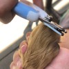 Perrísimo Corta Uñas Y Lima Para Uñas Para Perros Y