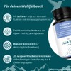 Avaria® Care - Culture Complex with 20 Bacterial Strains &