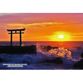 Cuties 300-441 Jigsaw Puzzle, 300-Piece Jigsaw Puzzle, Japanese Cities 85, Higashiiibaraki District, Oarai, Sunshine Illuminated by the Sun, 10.2 x 15.0 inches (26 x 38 cm), 300-441 with Glue