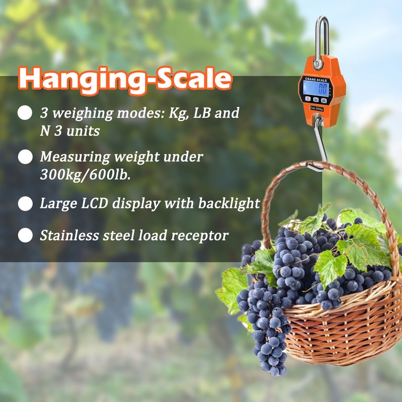 LCD Digital Hanging Scale Handheld 300Kg Mini Crane Scale for