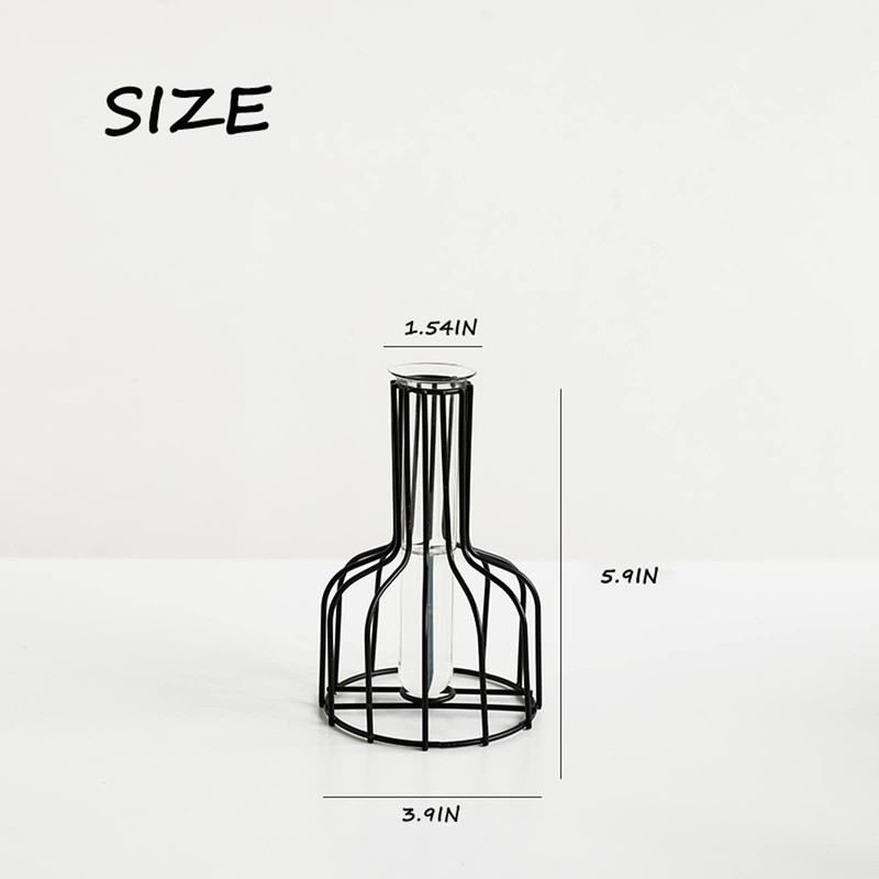 2 Pcs Black Flower Vase with Metal Frame, Clear Glass