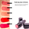 MEIN x MLashes | Kit de Lisptick MLashes + The