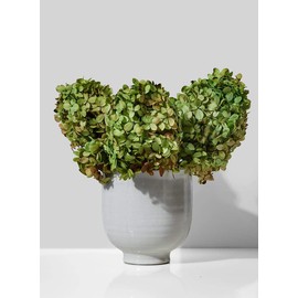 Serene Spaces Living Medium Glazed Ceramic Pedestal Bowl- Centerpiece for Vintage Weddings, Events, Measures 6" Tall and 5.75" Diameter