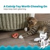 Catstages Plaque Away Pretzel Cat Toy – Interactive Catnip Dental