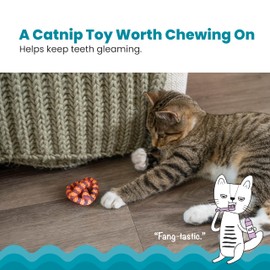 Catstages Plaque Away Pretzel Cat Toy – Interactive Catnip Dental Chew Toy to Help Clean Teeth, Fun for Play and Chewing, Orange