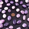 SigMntun SigMntun Lepidolite Healing Crystal Stone Set - 24 Pieces,