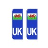 Gelz Domed Wales Flag UK Vehicle Number Plate Stickers -