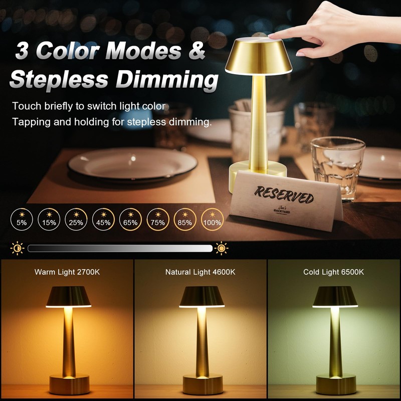 2 Pack Small Cordless Table Lamp, Battery Operated Gold Lamp