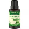 Nature's Truth Aromatherapy Peppermint Pure Essential Oil Refreshing 0.51 Ounce