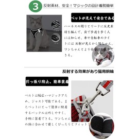 SUNGROO Dog Leash with Leash for Medium Dogs, Mesh, Breathable, Small Dogs and Cat Harnesses, Lead Set, Pull Prevention, Adjustable, Reflective Material, Cute, (M Size (x1), Black)