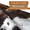 Sunshine Cowhides 100% Genuine Brindle Cowhide Rug - Modern Style