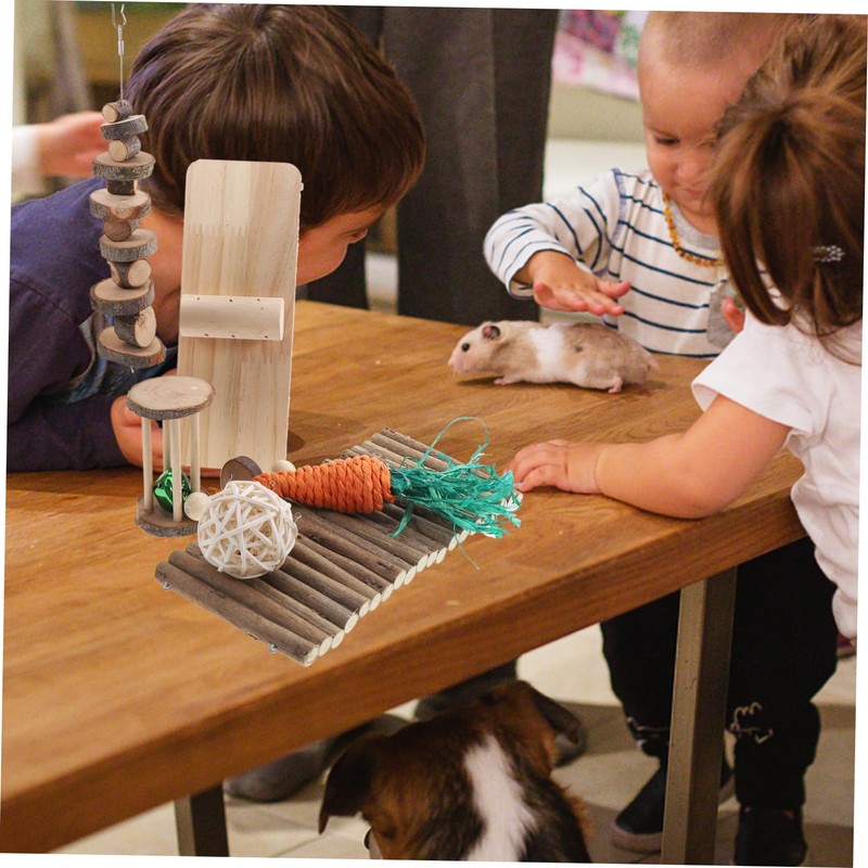 CORHAD Hamster Toys Set Natural Chewing Tablets for Pet Rats