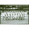 Negro League Homestead Grays Baseball Team, 1942 On Postcard 4"x6"