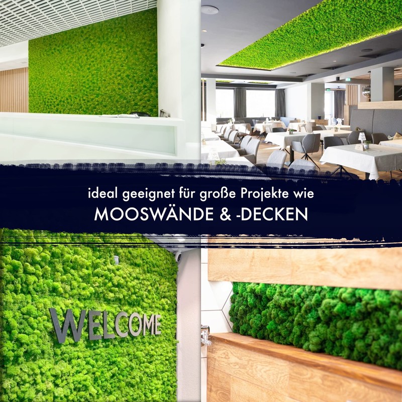 GJS Moss Picture - Moss Mat/Moss Sheet (25 x 25