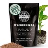 DYNOMYCO Granular Mycorrhizal Fungi Inoculant, 340g / 12oz – Boosts