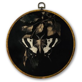 Mcehtle Vintage Butterfly Wall Art Decor, Dark Moody Cottagecore Moth Insect Botany Framed Canvas Prints 10x10, Neutral Farmhouse Round Wall Hanging Artwork Decorations for Gallery Living Room